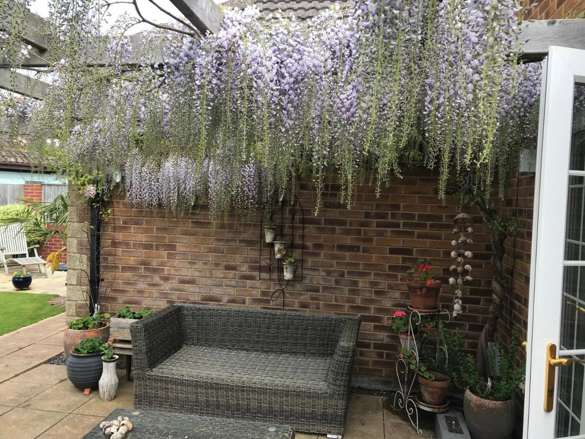Bub Lane Cottage Christchurch  Ngoại thất bức ảnh