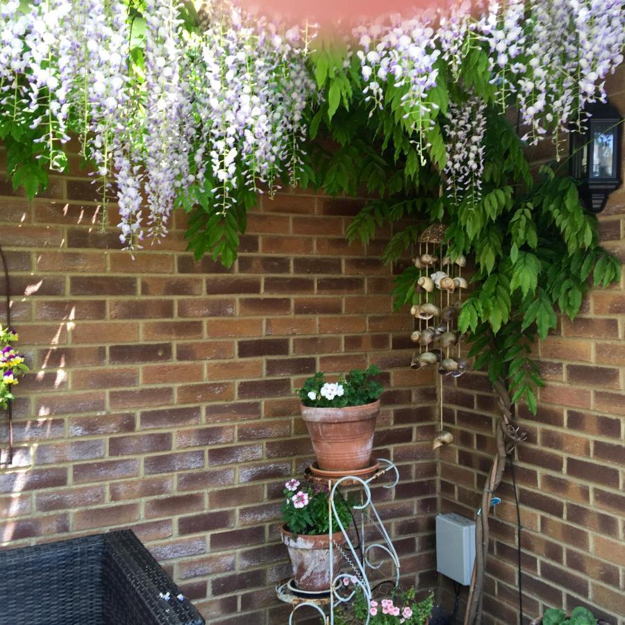 Bub Lane Cottage Christchurch  Ngoại thất bức ảnh